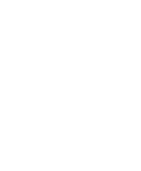 Manager Icon